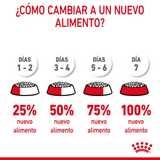 FCN DENTAL CARE - TRANSICION DE ALIMENTO
